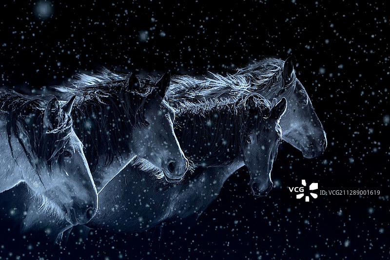 砥砺前行图片素材