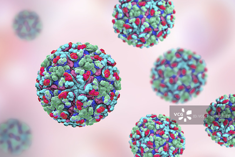 巴马森林病毒图示图片素材