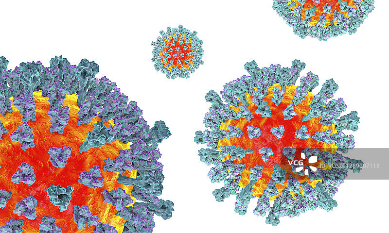 麻疹病毒插图图片素材