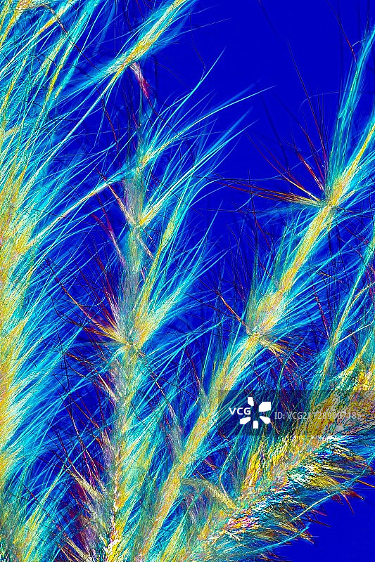 氟尿嘧啶抗癌药物，偏振光显微镜图片素材