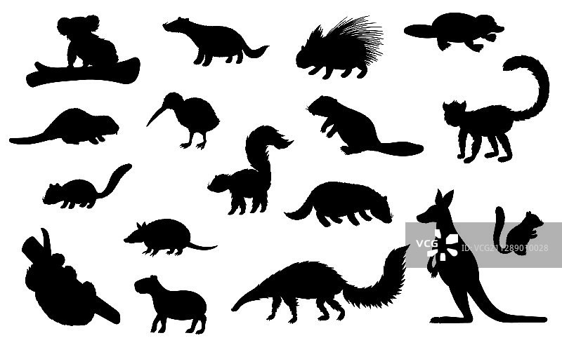 动物园与狩猎动物黑色剪影图片素材