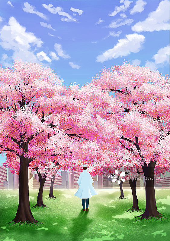 春天蓝天白云和樱花树下的医生背影插画图片素材
