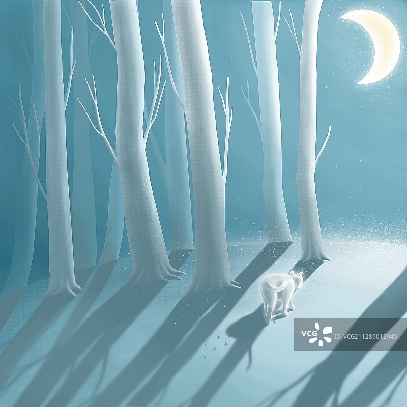 小猫在冬天的丛林走向月亮图片素材