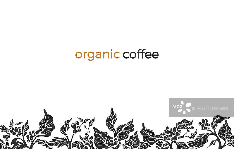 咖啡分店设计模板3图片素材