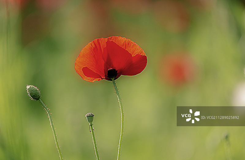 Now and the future图片素材