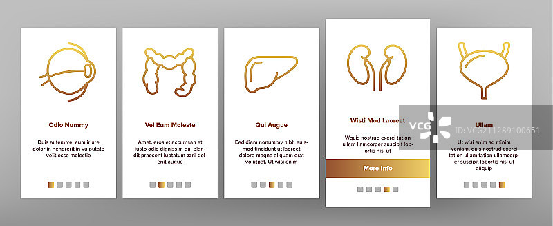 人体器官结构引导图标集图片素材