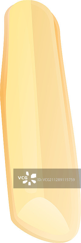 卡通风格的欧洲防风草图标图片素材