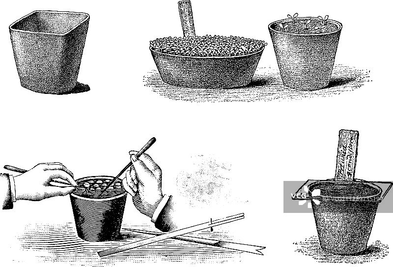 复古古董线条艺术画作套装图片素材