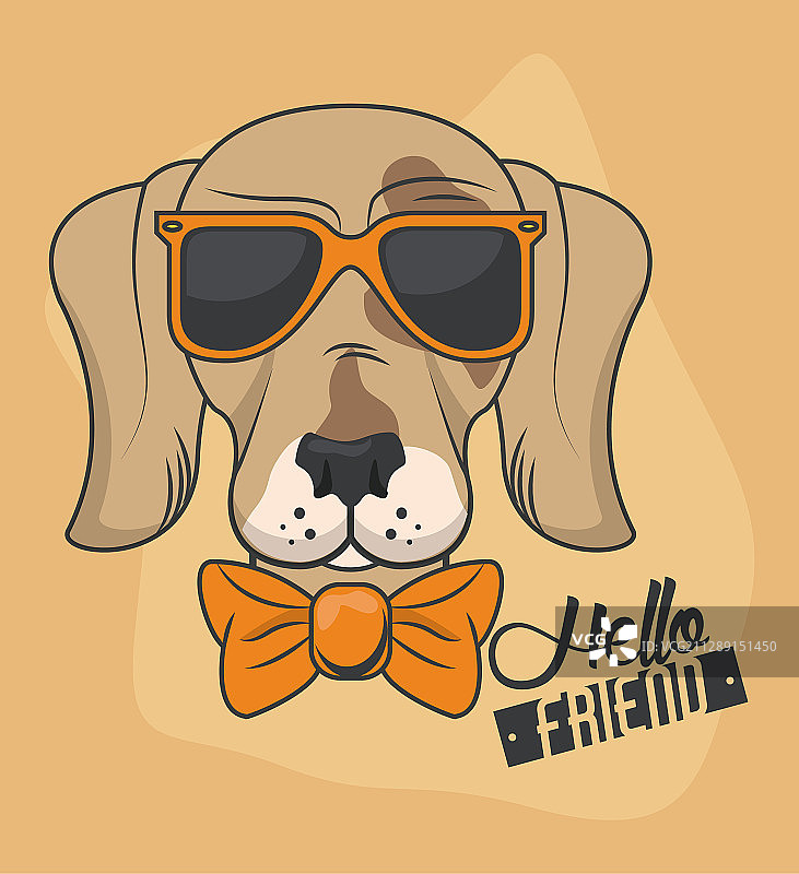 戴太阳镜的有趣狗狗图片素材