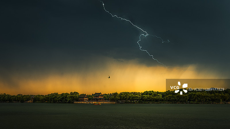 穿过暴风雨的雨燕图片素材