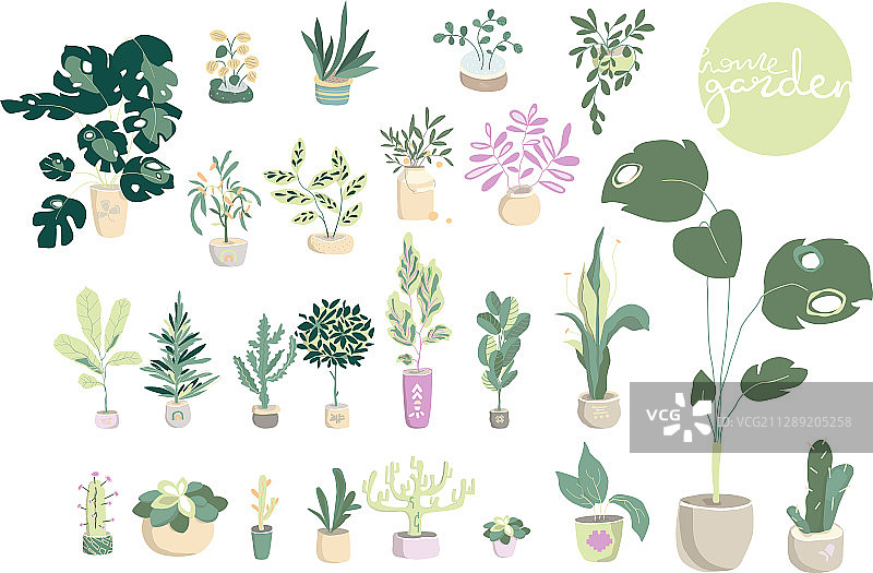 斯堪的纳维亚风格的DIY混凝土盆栽多肉植物图片素材