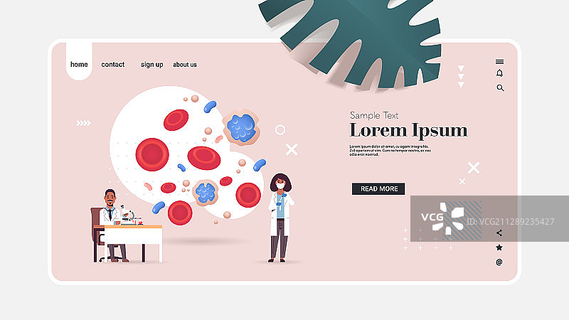 研究人员检查红蓝血管血细胞图片素材