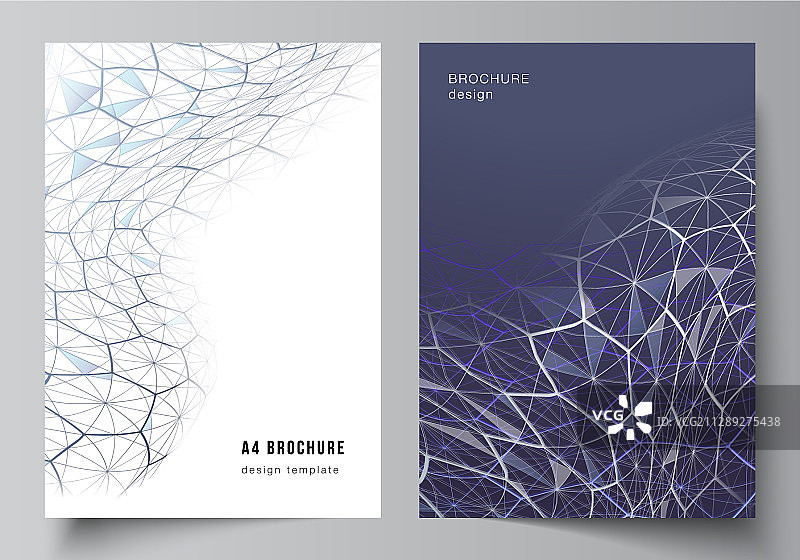 布局a4格式封面模型设计图片素材