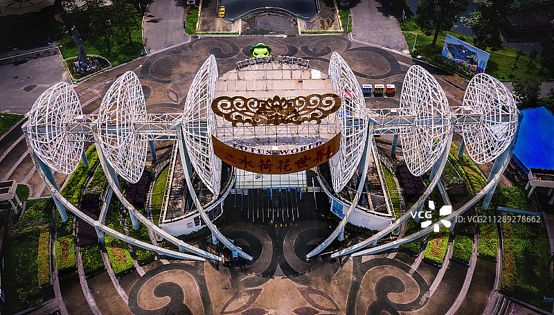 三水荷花世界图片素材