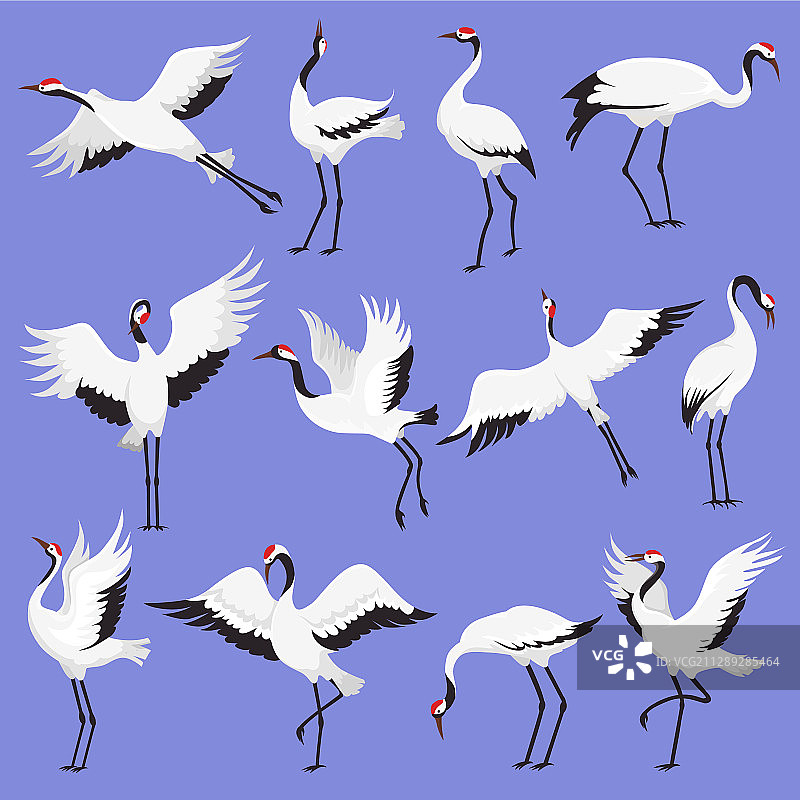 飞翔的红顶日式仙鹤图片素材