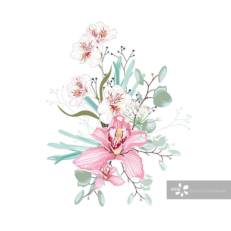 六出花、草本植物和桉树绿植图片素材