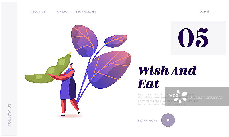 大豆植物产品健康营养纯素食品图片素材