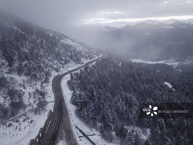 鲁朗林海图片素材