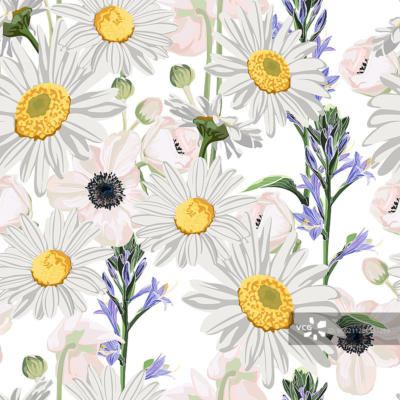 甘菊花叶与银莲花图片素材