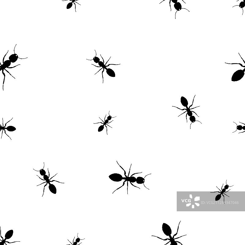 蚂蚁图案图片素材
