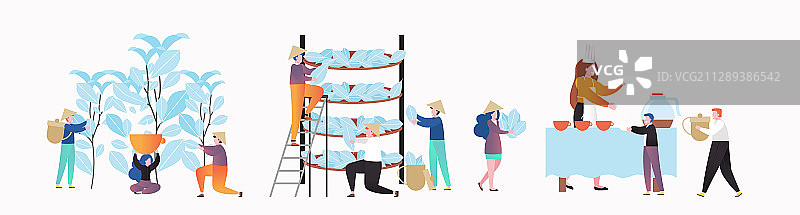 茶叶生产概念网页banner图片素材