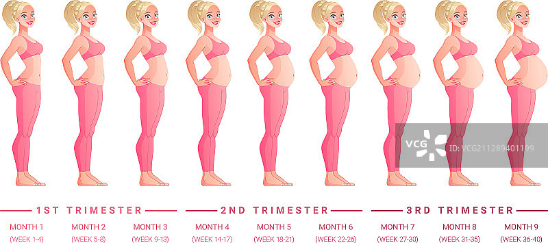 怀孕月份阶段图片素材