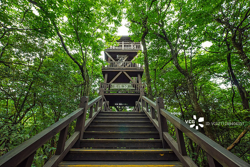 湖北恩施坪坝营风光图片素材