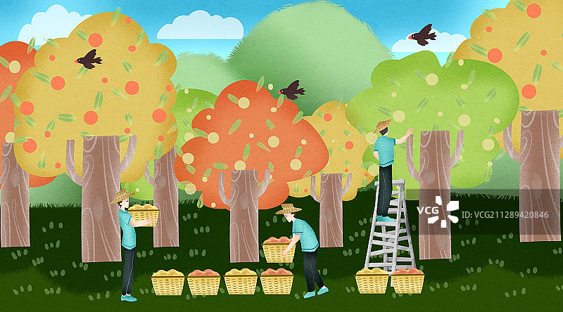 果园丰收员工辛勤劳动插画图片素材