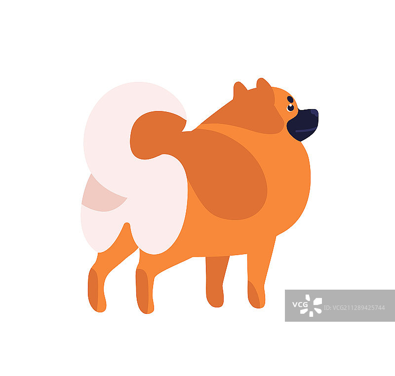 棕色蓬松小博美犬卡通形象图片素材