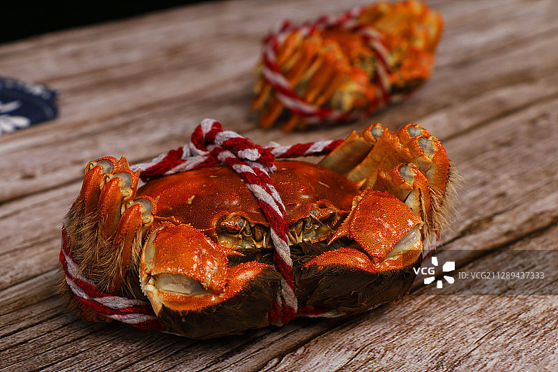 大闸蟹图片素材