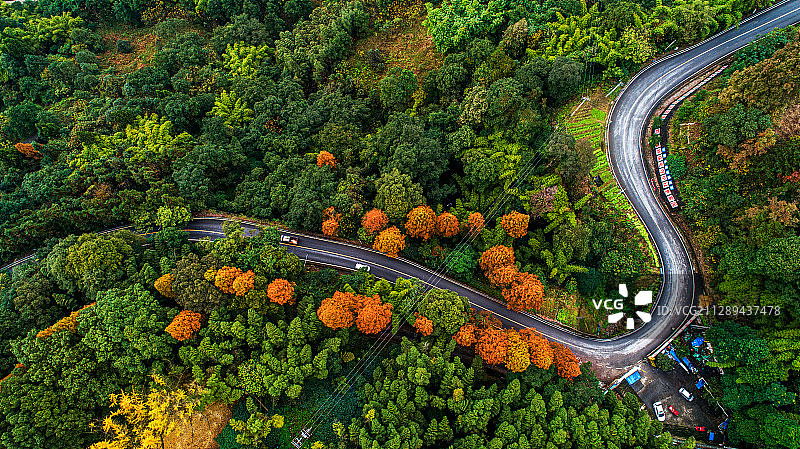 319国道上的风景图片素材