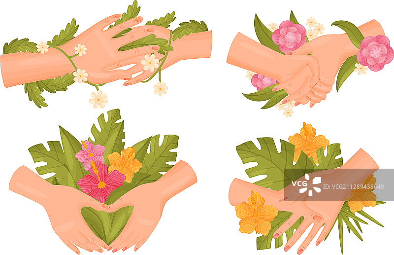 手捧鲜花和绿色嫩枝图片素材