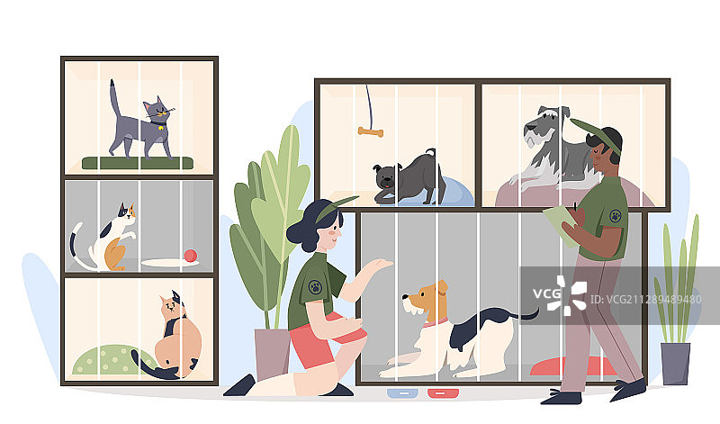 宠物笼中的动物收容所图片素材