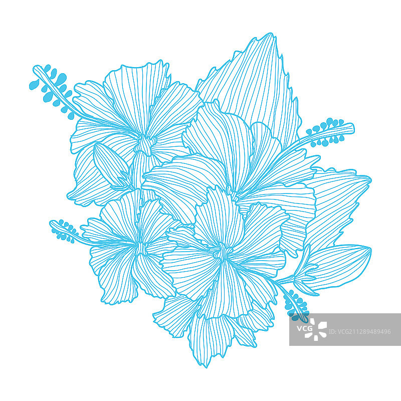 手绘花卉装饰图片素材