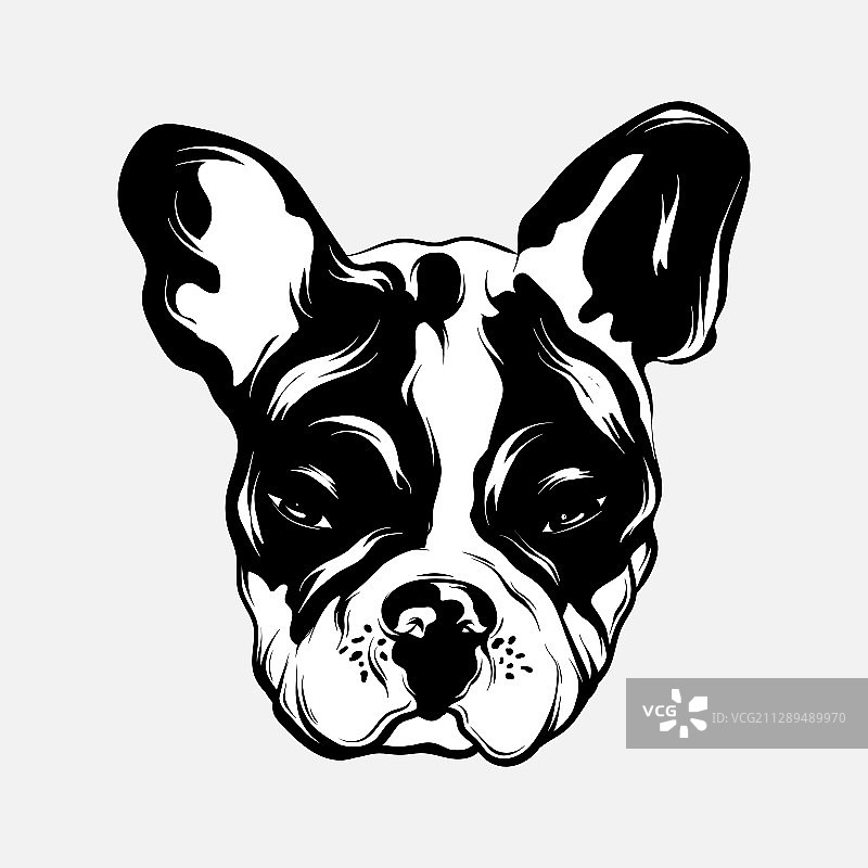 手绘斗牛犬图片素材