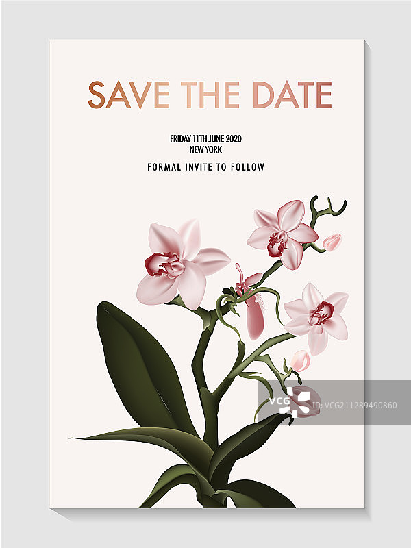 写实兰花婚期卡片图片素材