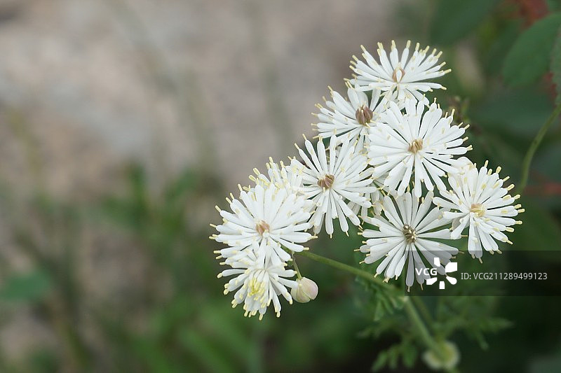 冰山梁图片素材