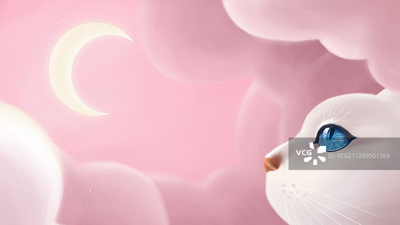 粉红色背景下的的猫凝望着月亮图片素材