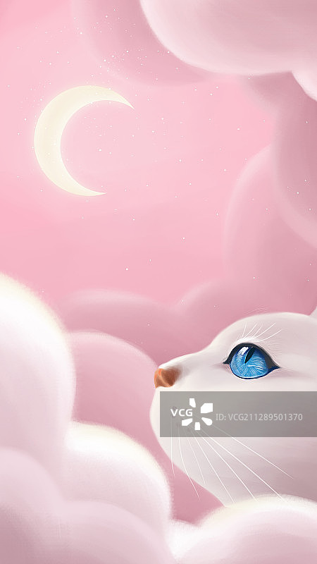 粉红色背景下的的猫凝望着月亮图片素材