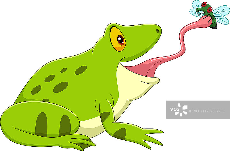 卡通青蛙捕捉苍蝇图片素材