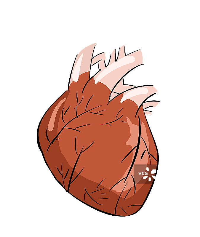 心脏图片素材