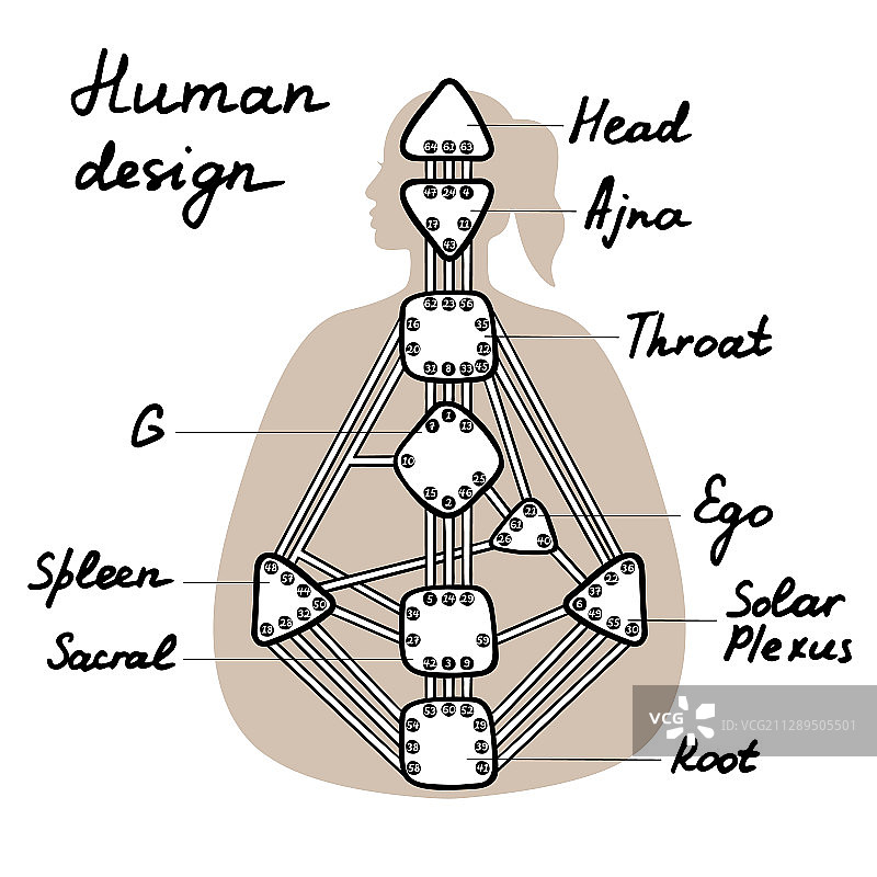 顶轮、眉心轮、喉轮、太阳神经丛轮、脐轮、海底轮图片素材