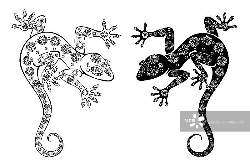 两只单色壁虎图片素材