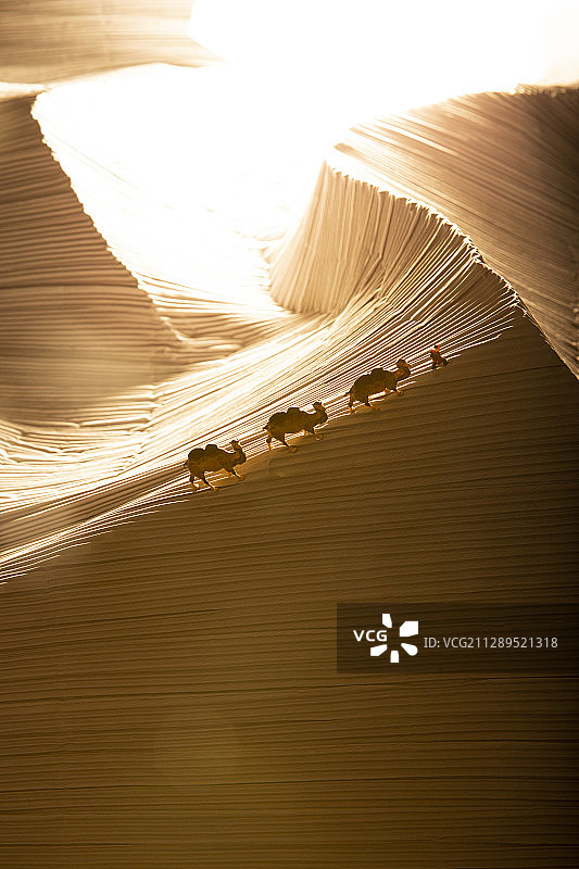 沙漠骆驼和老人小人模型创意微景观静物图片素材