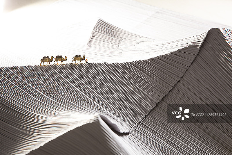 沙漠骆驼和老人模型创意微景观静物图片素材