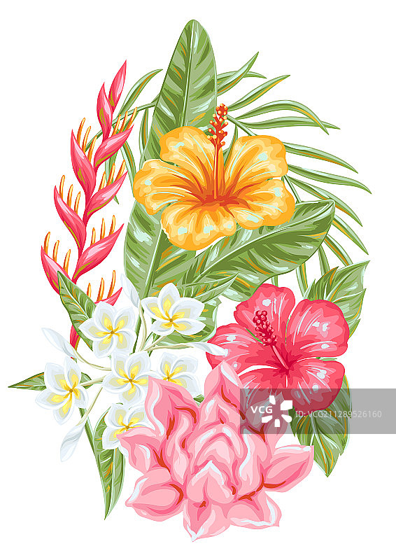 热带花卉装饰元素图片素材