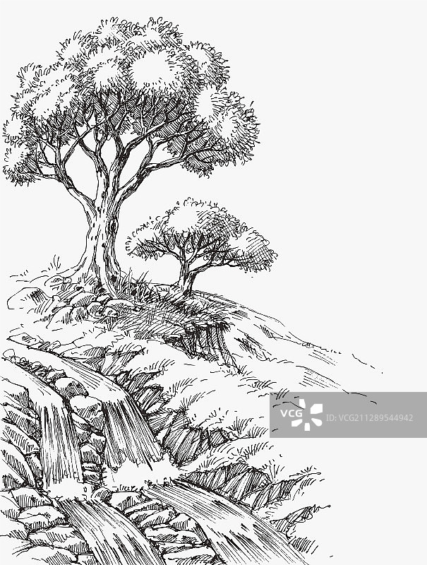 瀑布和橄榄树景观手绘图片素材