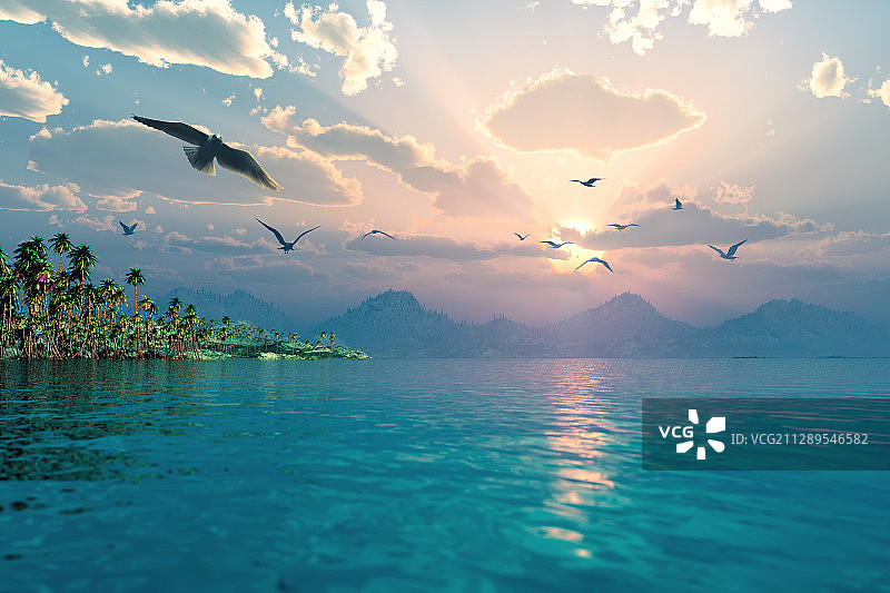 热带海岛上的海鸥迎着夕阳御风飞翔图片素材