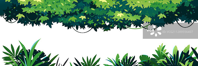 丛林树叶图片素材