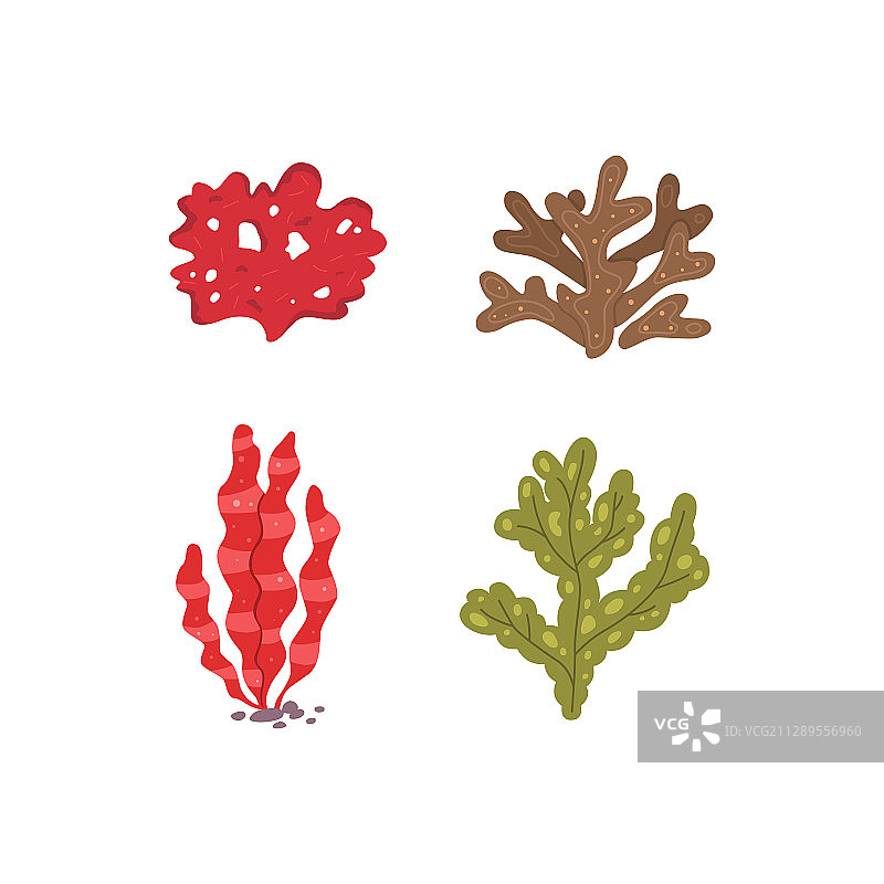 海藻图标和海洋珊瑚图片素材